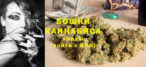 ПСИЛОЦИБИНОВЫЕ ГРИБЫ Белокуриха