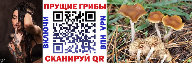 Галлюциногенные грибы прущие грибы Невьянск